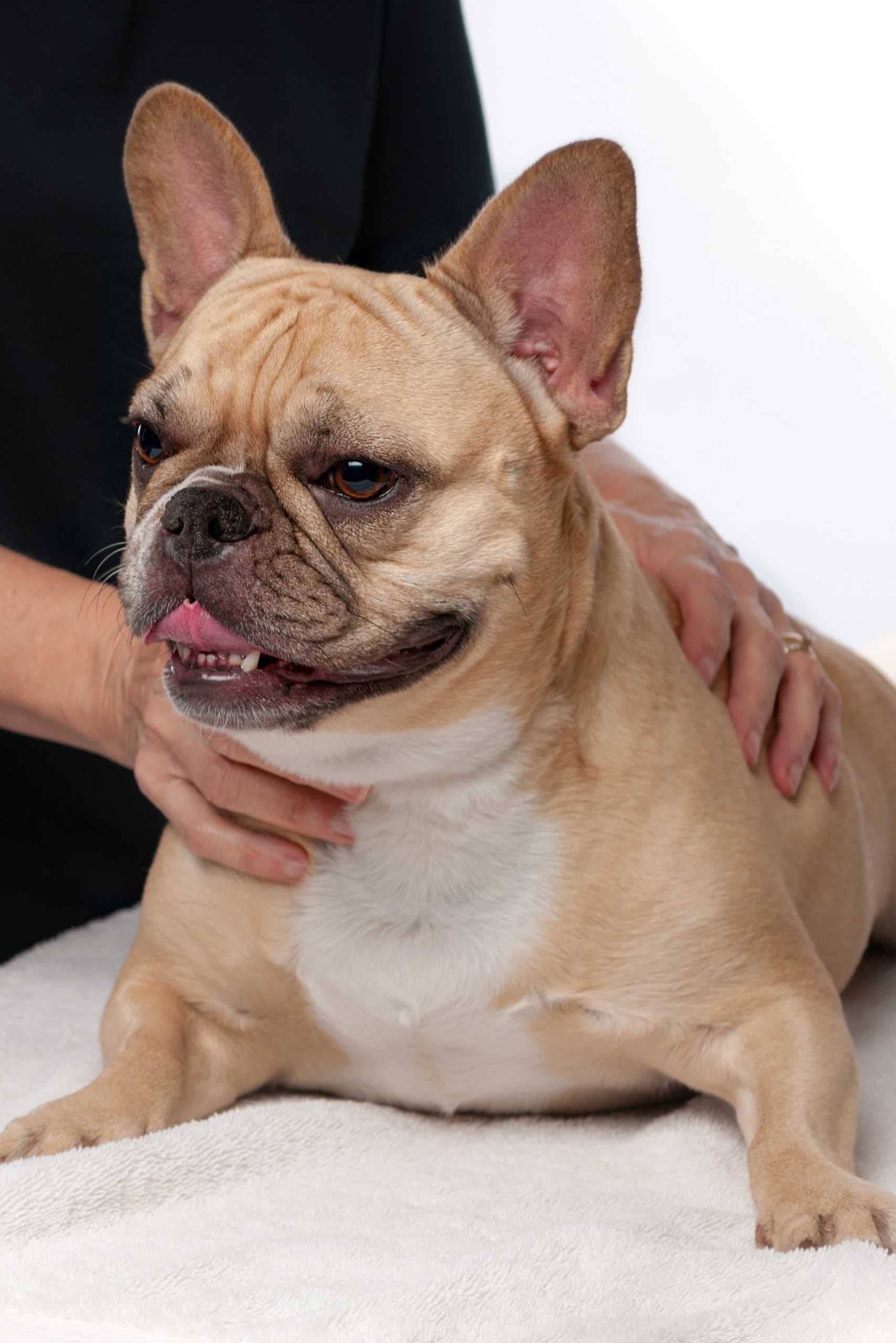 laser-therapy-service