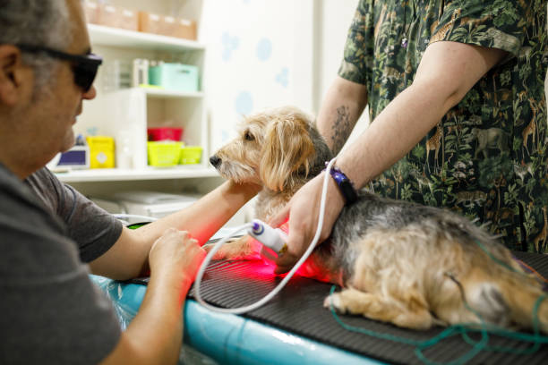 laser-therapy