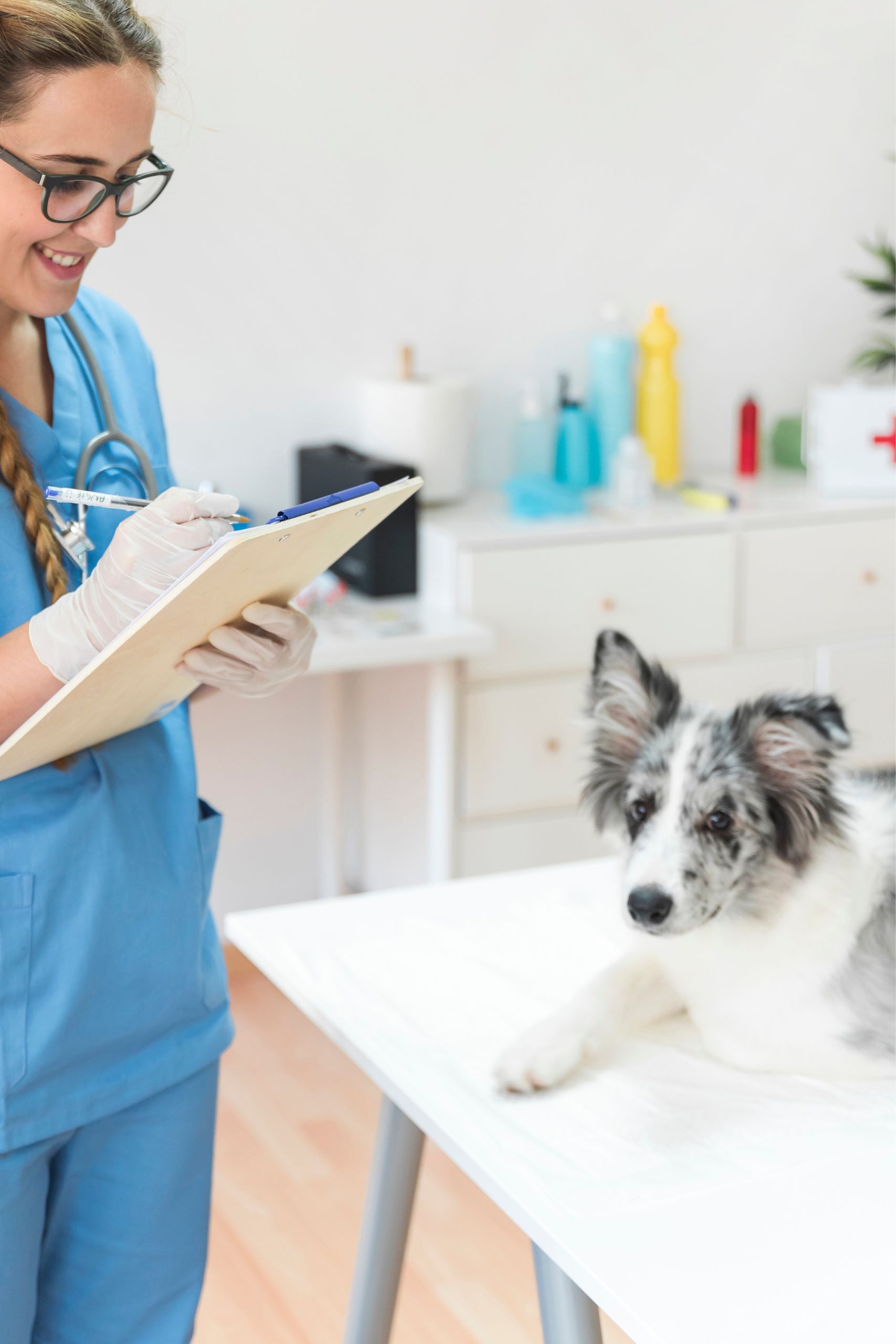 nurse-consult-service