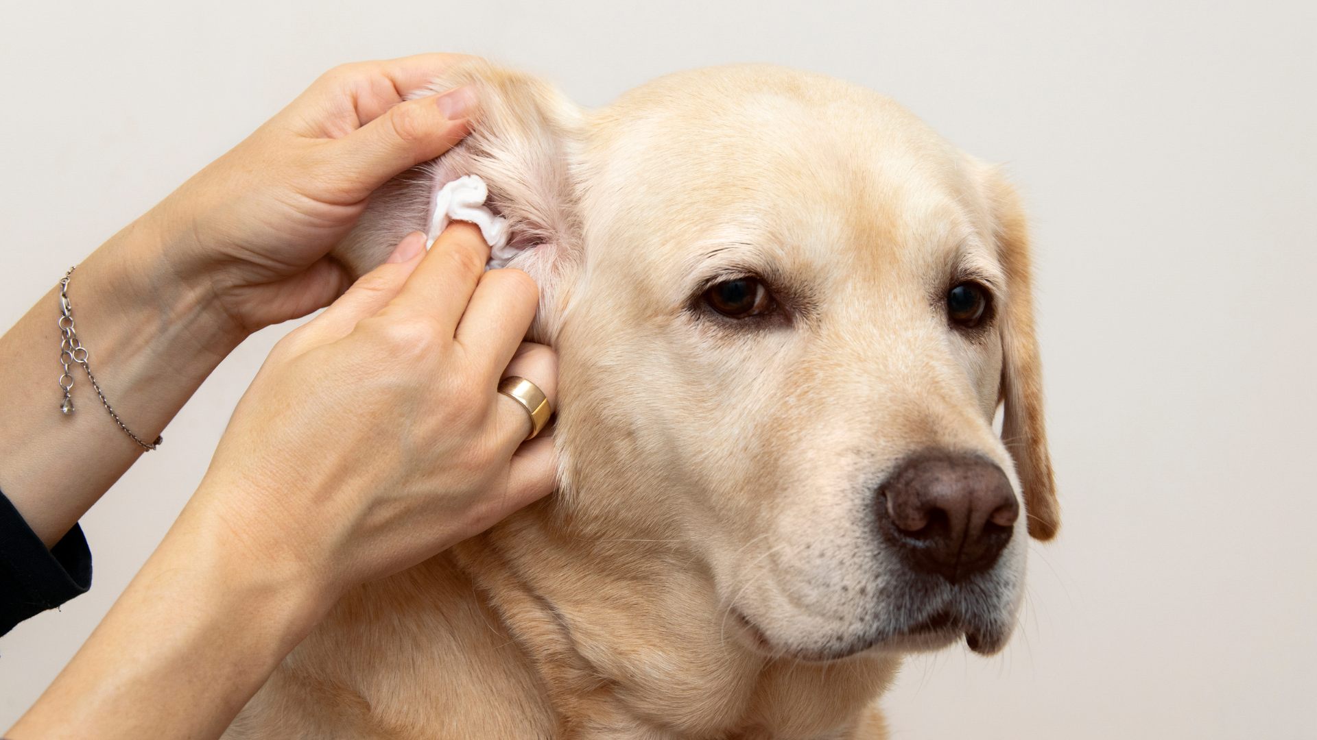 ear-infection